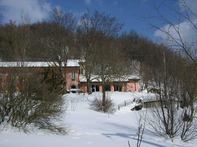 B&B Il Boschetto Calestano Exterior foto